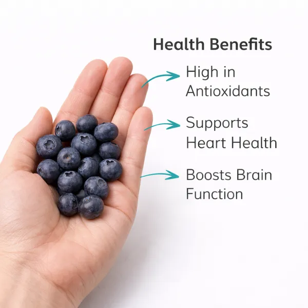 Dried_Blueberries_|_Antioxidant-Rich_&_Naturally_Sweet