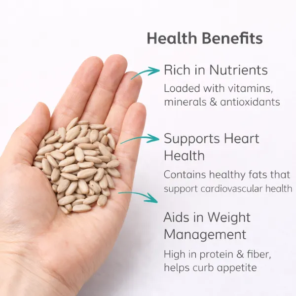 Sunflower_Seeds_|_Protein-Packed_Kernels