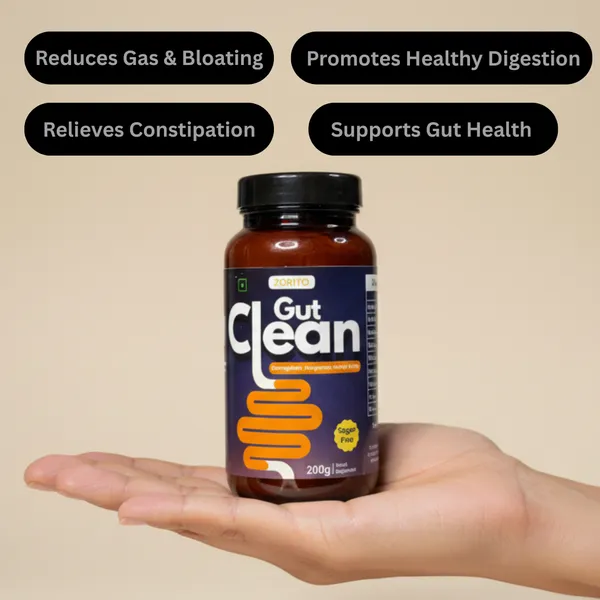 Weight_Gain_Power_Pack_With_Gut_Clean_Pack_Of_2
