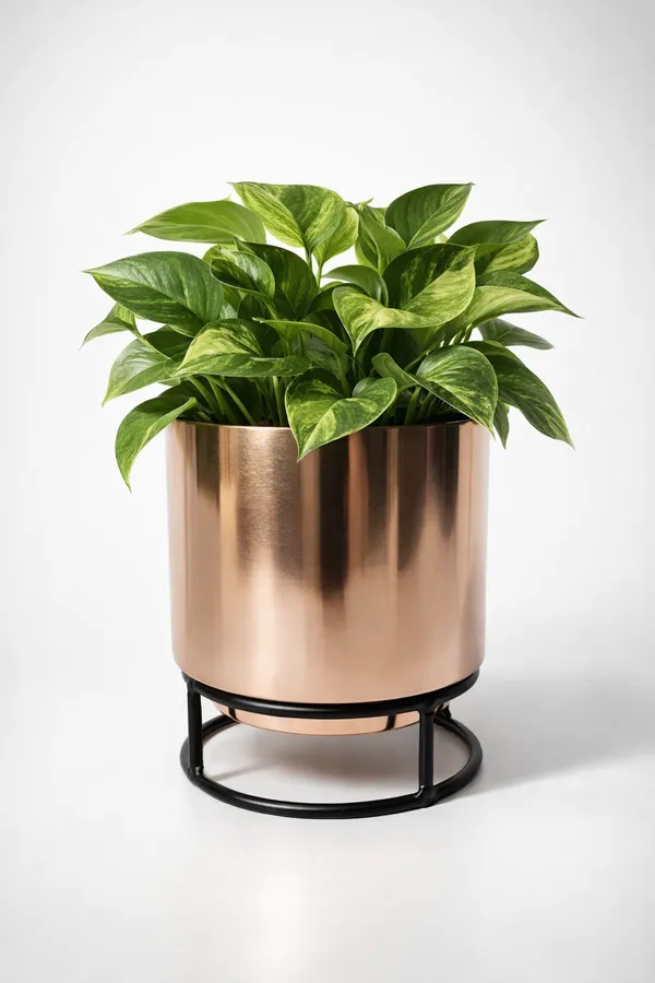 Rose_Gold_And_Black_Iron_Petite_Metal_Pots_Home_Decor_For_Mini_Plants,Succulents,Cactus,Return_Gifts,Tabletop_Decor