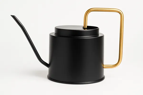 Black_And_Gold_Iron_Water_Drainer_For_Metallic_Pot_Home_Decor_For_Drainage_Control,Prevent_Water_Logging,Plant_Health,Indoor_Use_And_Outdoor_Use