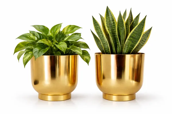 Gold_Iron_Orchid_Metal_Planter_Home_Decor_For_Orchids,Flowering_Plants,Table_Decor,Indoor_Use,_And_Gifting_(Pack_Of_2)