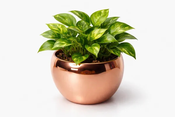 Rose_Gold_Iron_Metal_Planter_Home_Decor_For_Home_Garden,Balcony,Office