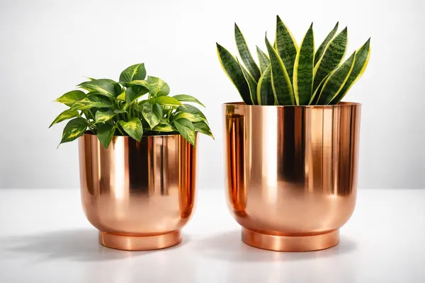 Rose_Gold_Iron_Orchid_Metal_Planter_Home_Decor_For_Orchids,Flowering_Plants,Table_Decor,Indoor_Use_And_Gifting_(Pack_Of_2)
