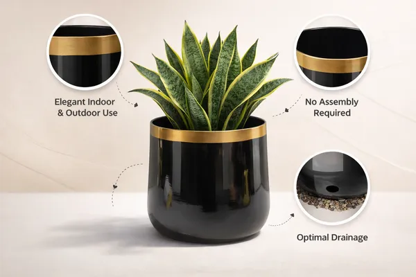Black_Iron_Orchid_Metal_Planter_Home_Decor_For_Orchids,Flowering_Plants,Table_Decor,Indoor_Use_And_Gifting
