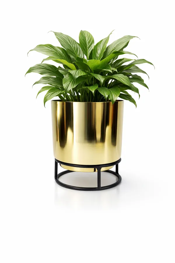 Gold_And_Black_Iron_Petite_Metal_Pots_For_Home_Decor_Mini_Plants,Succulents,Cactus,Return_Gifts,Tabletop_Decor