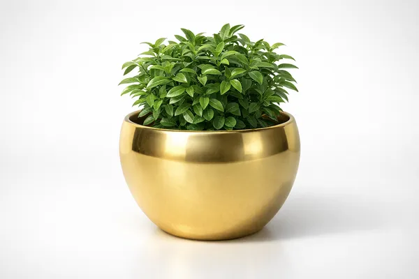 Gold_And_Black_Iron_Seraphine_Pot_With_Stand_Home_Decor_For_Indoor_Plants,Living_Room_Decor,Bedroom_Decor,Corner_Decor_(Pack_Of_2)