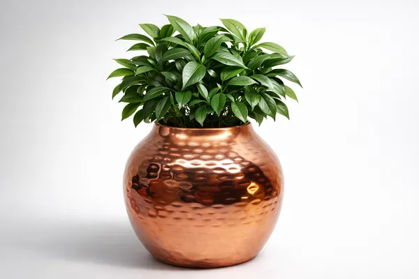 Rose_Gold_Iron_Seraphine_Pot_With_Stand_Home_Decor_For_Indoor_Plants,Living_Room_Decor,Bedroom_Decor,Corner_Decor_And_Statement_Piece
