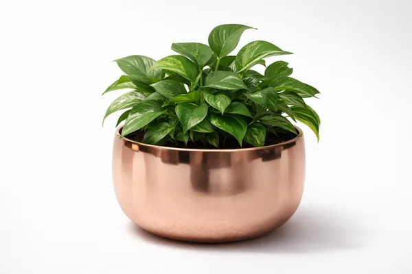 Gold_And_Rose_Gold_Iron_Seraphine_Pot_With_Stand_Home_Decor_For_Indoor_Plants,Living_Room_Decor,Bedroom_Decor,Corner_Decor_And_Statement_Piece_(Pack_Of_2)
