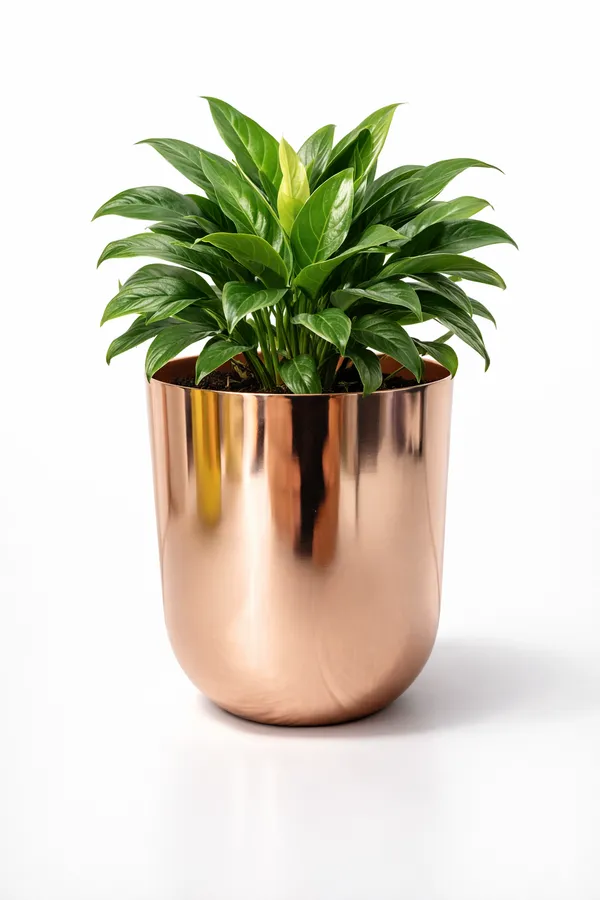 Rose_Gold_Iron_Metallic_Miniature_Planter_Home_Decor_For_Tiny_Plants,Succulents,Cactus,Desk_Decor_And_Gifting