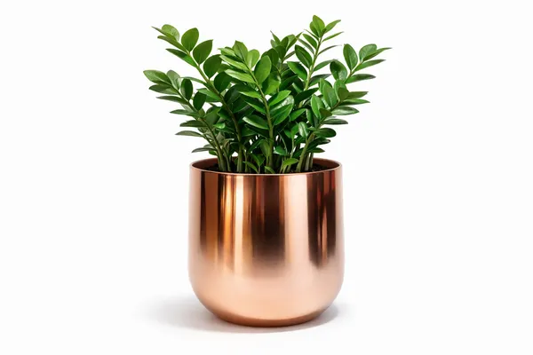Rose_Gold_Iron_Orchid_Metal_Planter_Home_Decor_For_Orchids,Flowering_Plants,Table_Decor,Indoor_Use_And_Gifting