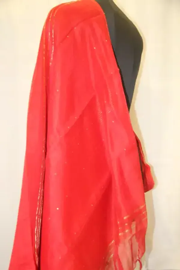 Cotton_Silk_With_Sequence_Red