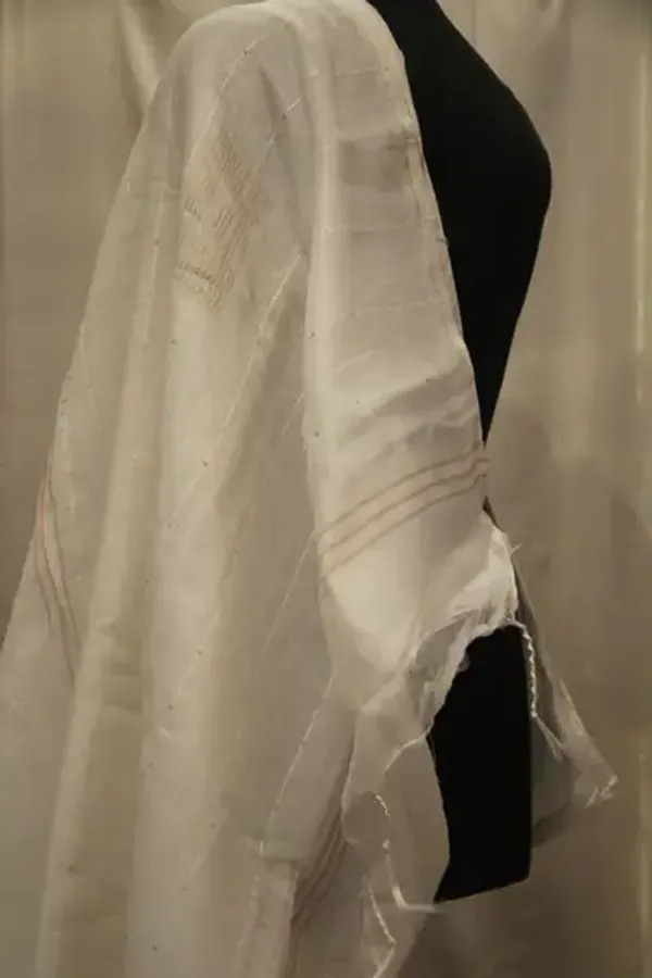 Cotton_Silk_With_Sequence_White