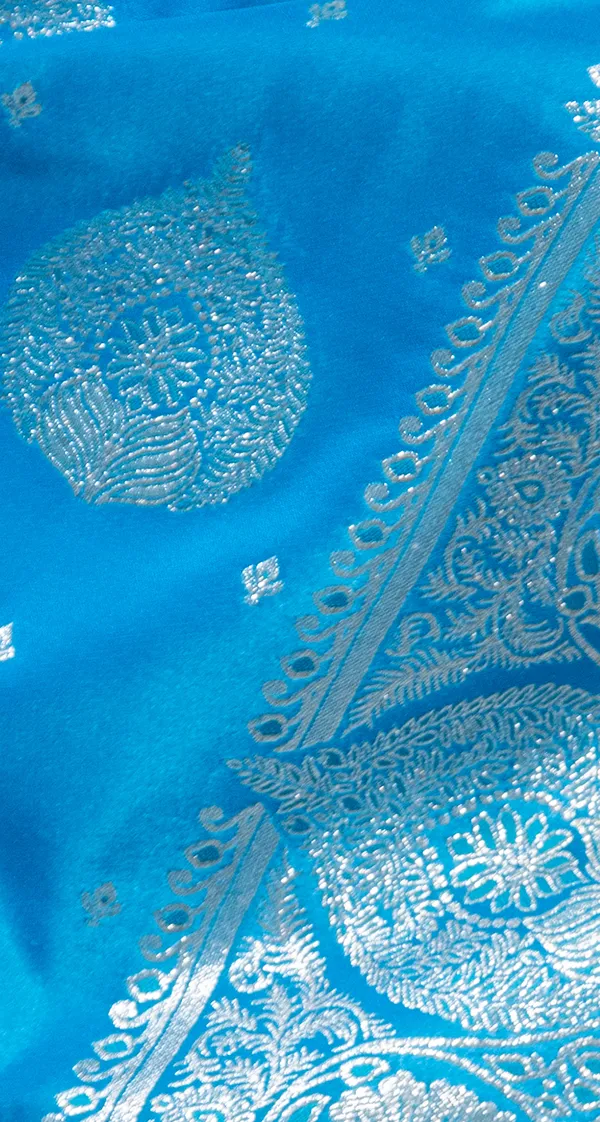 Saree_Banarasi_Single_Color_Light_Blue