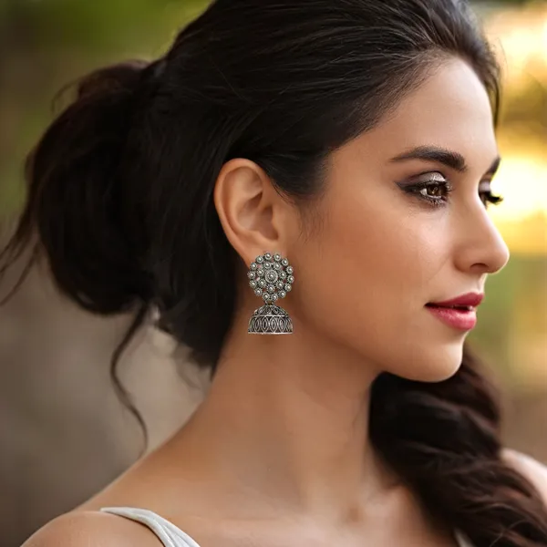 Silver_Elegant_Design_Alloy_Earrings_Set_Of_16_For_Women