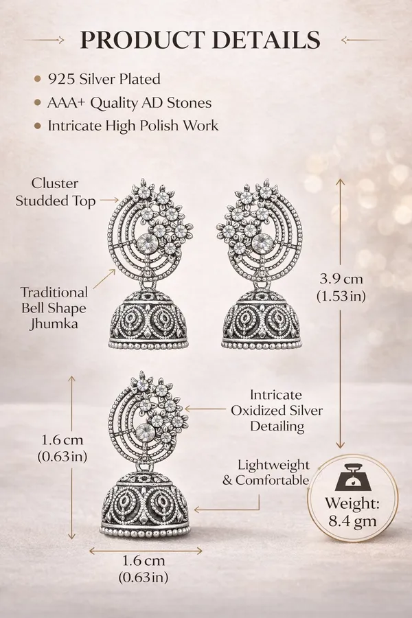 Silver_Elegant_Design_Alloy_Earrings_Set_Of_12_For_Women