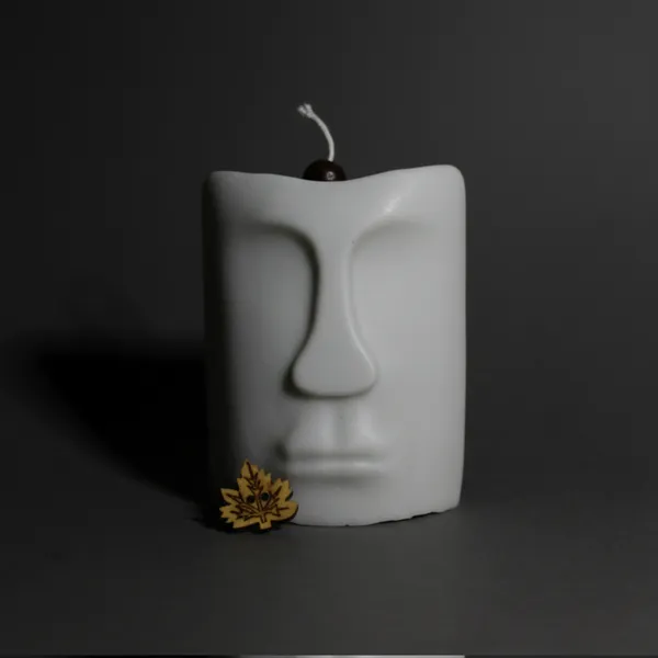 The_Aesthetic_Face