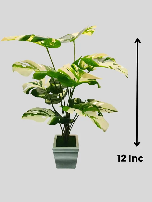 Green_Premium__Artificial_Palm_Plant_With_Pot_And_Bonsai_Plant_With_Pot_Pack_Of_2