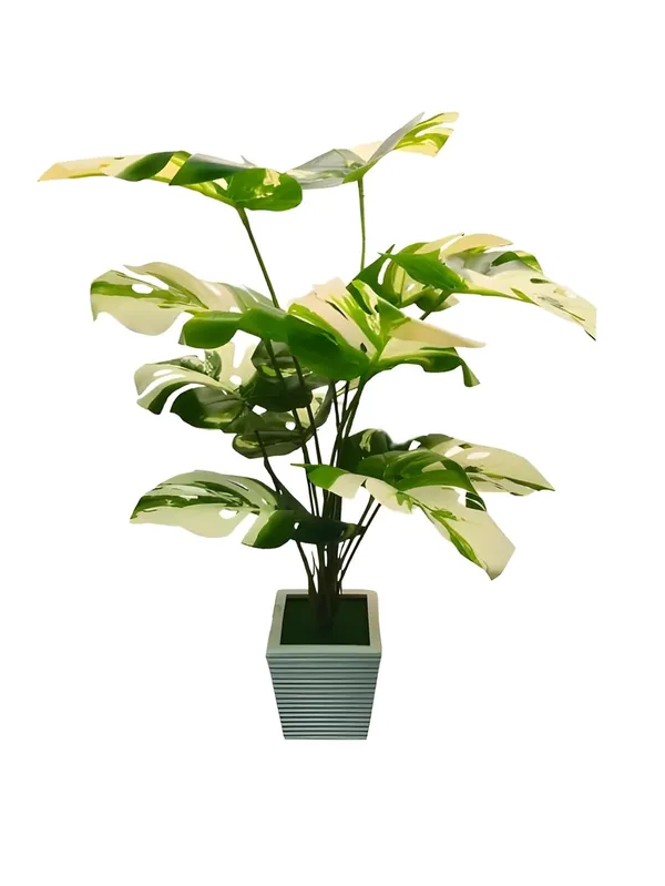 Green_Premium__Artificial_Palm_Plant_With_Pot_And_Bonsai_Plant_With_Pot_Pack_Of_2