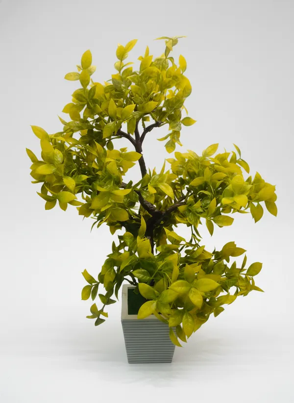 Green_And_Yellow_Premium_Artificial_Bonsai_Plant_With_Pot