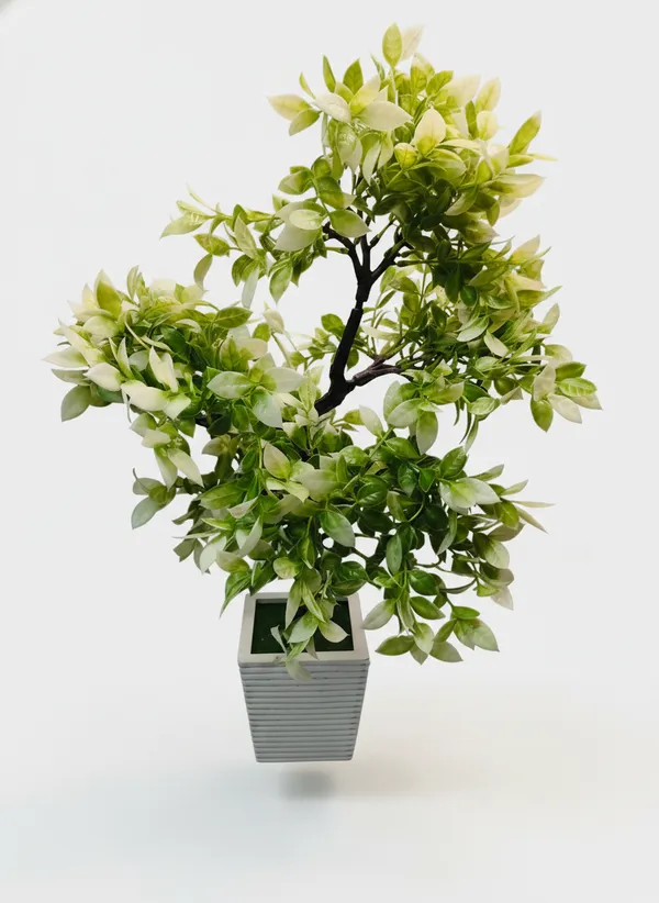 Green_And_White_Premium_Artificial_Bonsai_Plant_With_Pot
