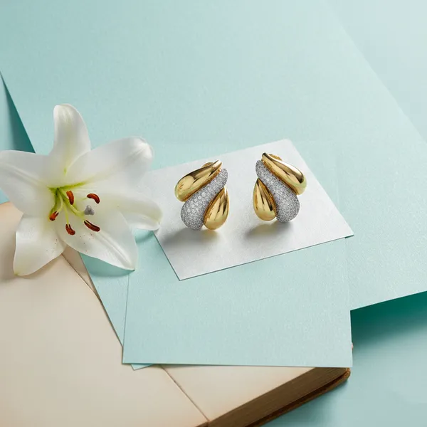 Gold_Seraphine_Luxe_Flow_Cz_Earrings_For_Women