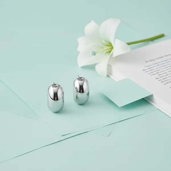 Silver_Signature_Silver_Tone_Bold_Stud_Earrings_For_Women