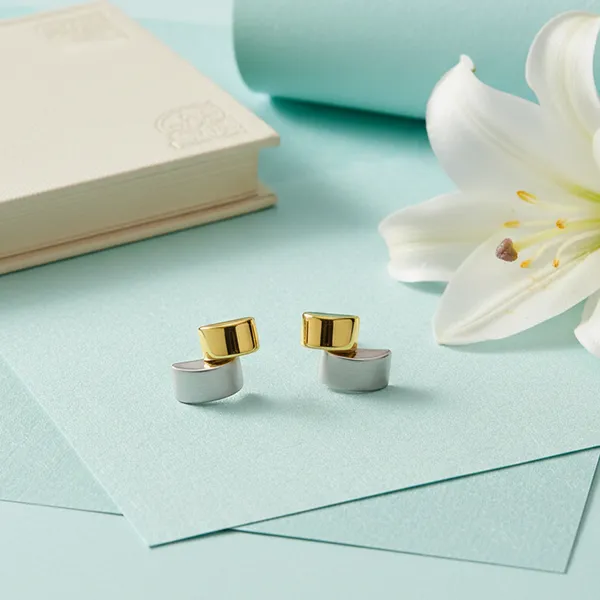 Gold_And_Silver_Modern_Regalia_Two_Tone_Studs_For_Women