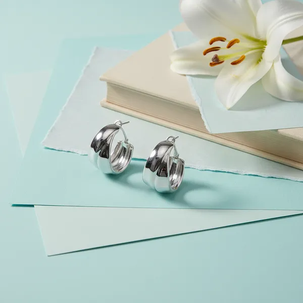 Silver_Elite_Silver_Tone_Bold_Curve_Earrings_For_Women