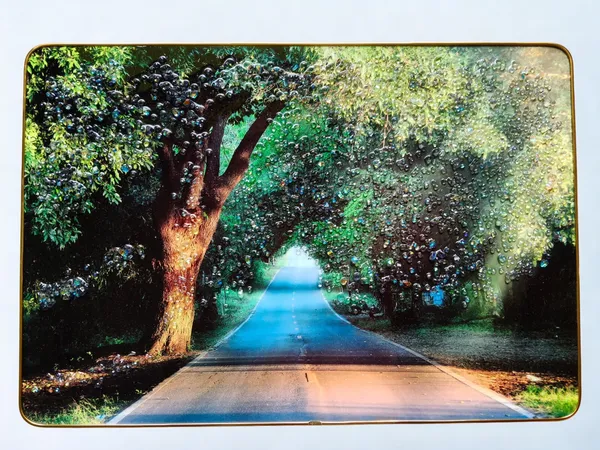 Multicolour_Premium_Quality_14x20_Inch_Scenary_Of_Road