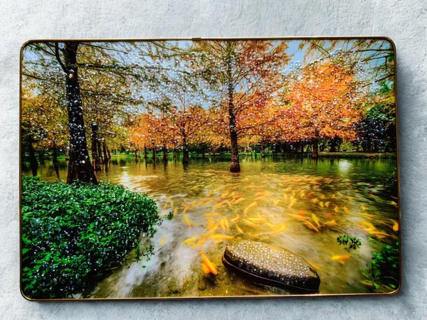 Multicolour_Premium_Quality_14x20_Inch_Scenary_Of_Road