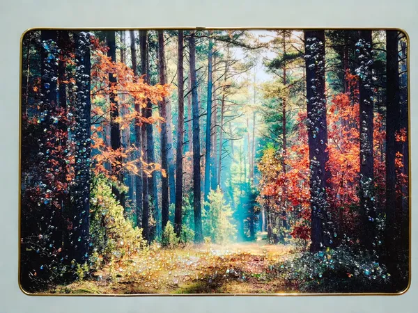 Multicolour_Premium_Quality_14x20_Inch_Scenary_Of_Road