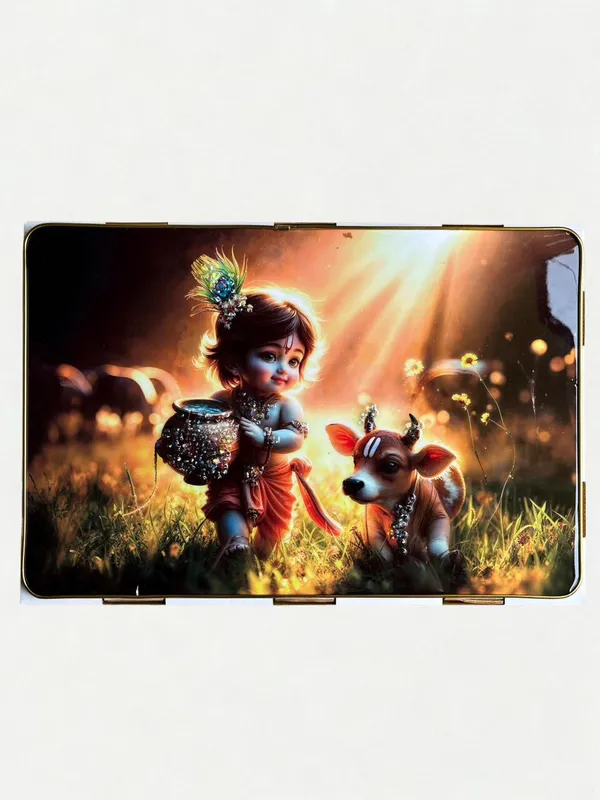 Multicolour_Premium_Quality_14X20_Inch_Bal_Gopal_Frame