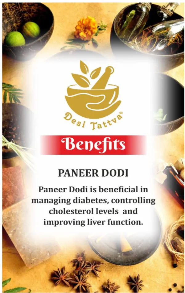 Paneer_Dodi_Ayurvedic_Herb
