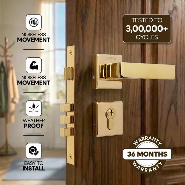 Gold_Zinc_Alloy_&_Stainless_Steel_Mortise_Handles_&_Door_Locks_Handles