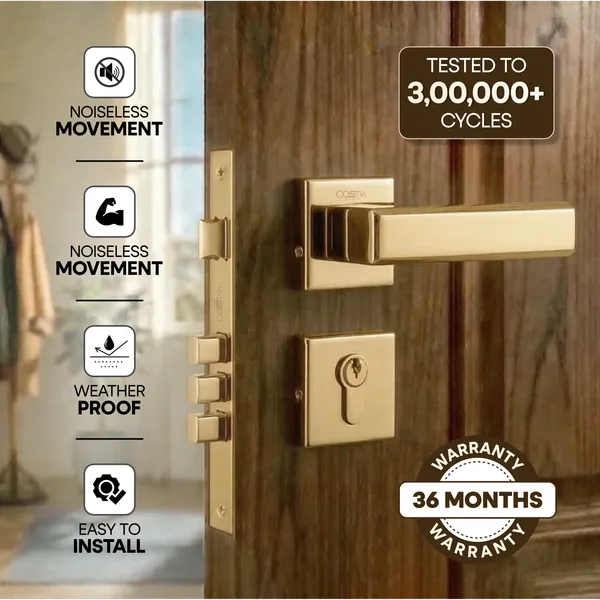 Gold_Zinc_Alloy_&_Stainless_Steel_Mortise_Handles_&_Door_Locks_Handles