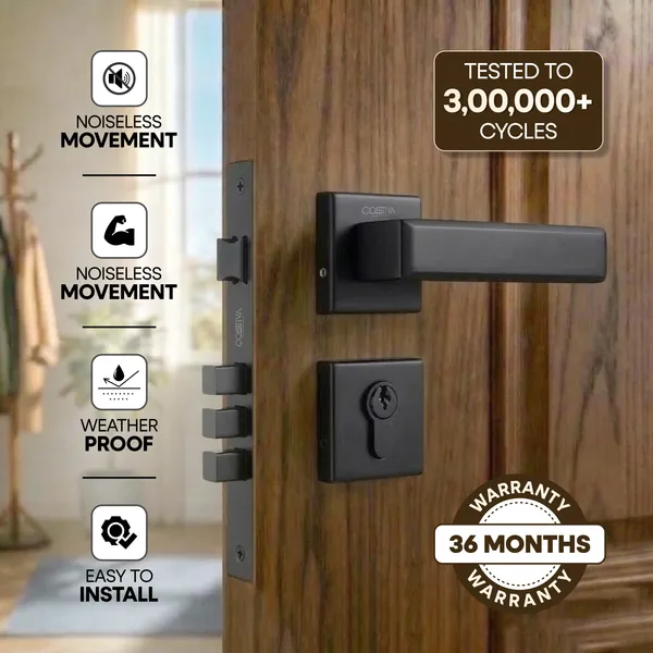 Black_Zinc_Alloy_&_Stainless_Steel_Mortise_Handles_&_Door_Locks_Handles