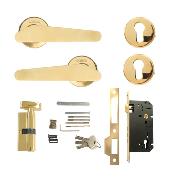 Gold_Zinc_Alloy_&_Stainless_Steel_Mortise_Handles_&_Door_Locks_Handles