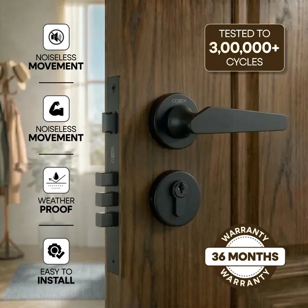Black_Zinc_Alloy_&_Stainless_Steel_Mortise_Handles_&_Door_Locks_Handles