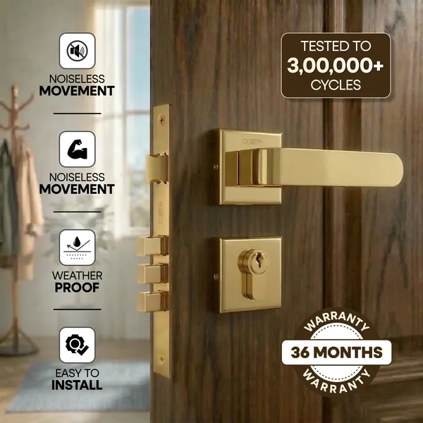 Gold_Zinc_Alloy_&_Stainless_Steel_Mortise_Handles_&_Door_Locks_Handles