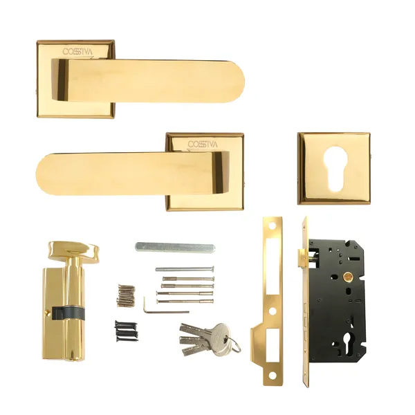 Gold_Zinc_Alloy_&_Stainless_Steel_Mortise_Handles_&_Door_Locks_Handles