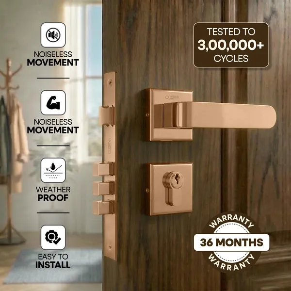 Rose_Gold_Zinc_Alloy_&_Stainless_Steel_Mortise_Handles_&_Door_Locks_Handles