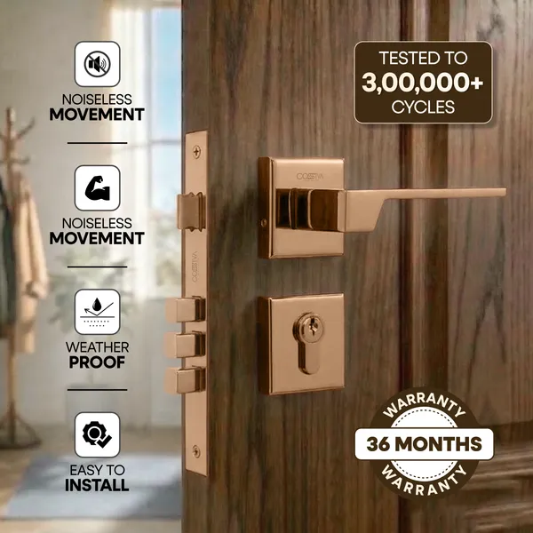 Rose_Gold_Zinc_Alloy_&_Stainless_Steel_Mortise_Handles_&_Door_Locks_Handles