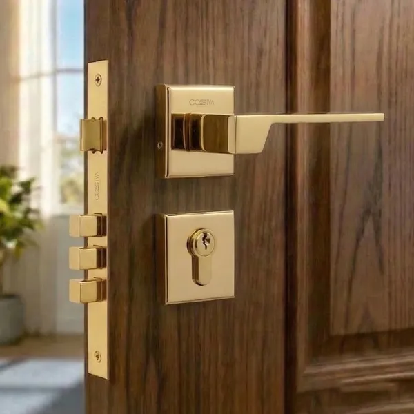 Gold_Zinc_Alloy_&_Stainless_Steel_Mortise_Handles_&_Door_Locks_Handles