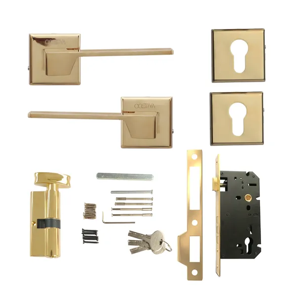 Gold_Zinc_Alloy_&_Stainless_Steel_Mortise_Handles_&_Door_Locks_Handles