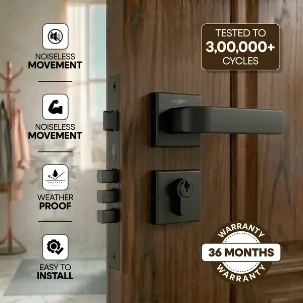 Black_Zinc_Alloy_&_Stainless_Steel_Mortise_Handles_&_Door_Locks_Handles