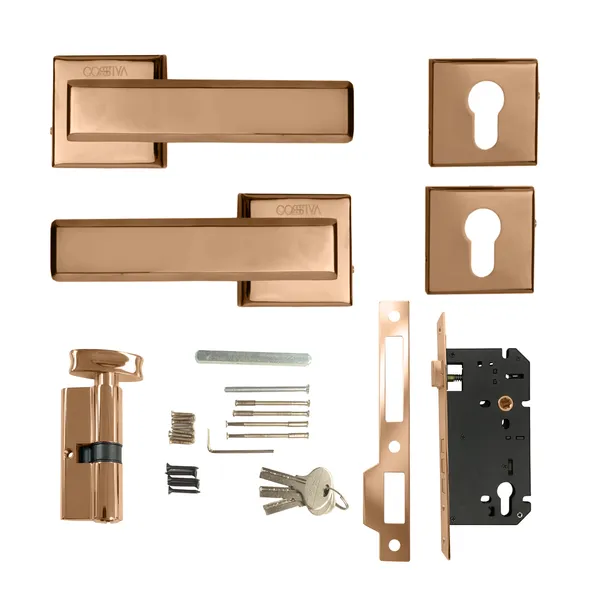 Rose_Gold_Zinc_Alloy_&_Stainless_Steel_Mortise_Handles_&_Door_Locks_Handles