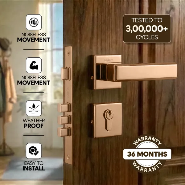 Rose_Gold_Zinc_Alloy_&_Stainless_Steel_Mortise_Handles_&_Door_Locks_Handles