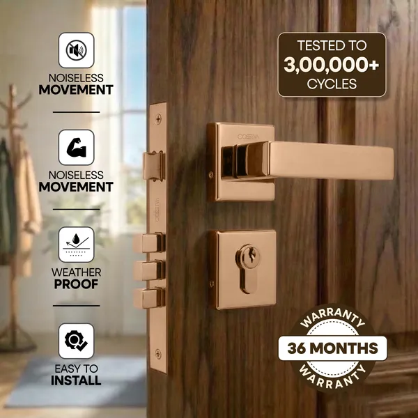 Rose_Gold_Zinc_Alloy_&_Stainless_Steel_Mortise_Handles_&_Door_Locks_Handles