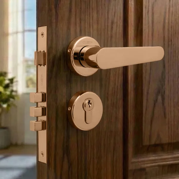 Rose_Gold_Zinc_Alloy_&_Stainless_Steel_Mortise_Handles_&_Door_Locks_Handles
